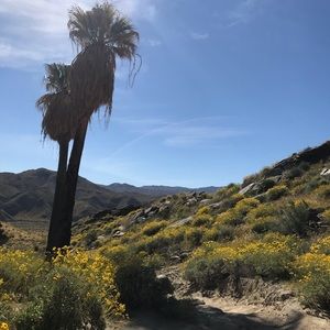 Meet your Posher, Briana